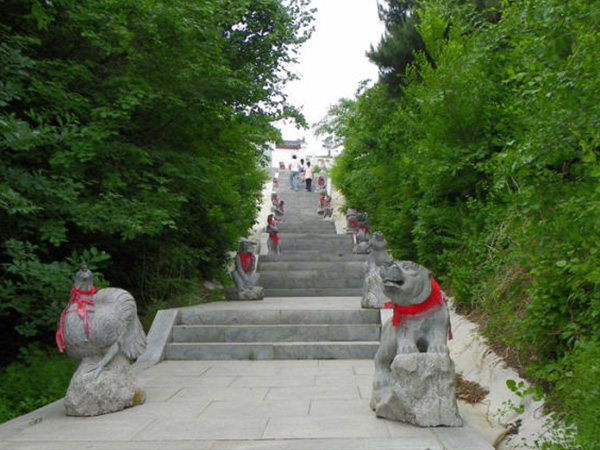 中华寺环境 (10)