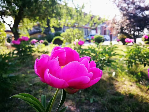 中华寺环境9