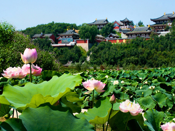 中华寺环境 (13)